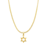 Mica Star Of David Necklace