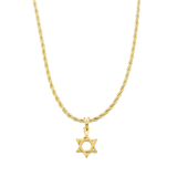 Mica Star Of David Necklace
