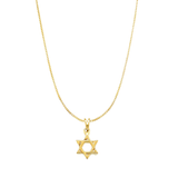 Mica Star Of David Necklace