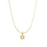 Finn Star of David Necklace