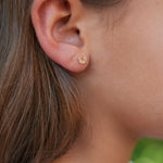 Harlow CZ Earrings
