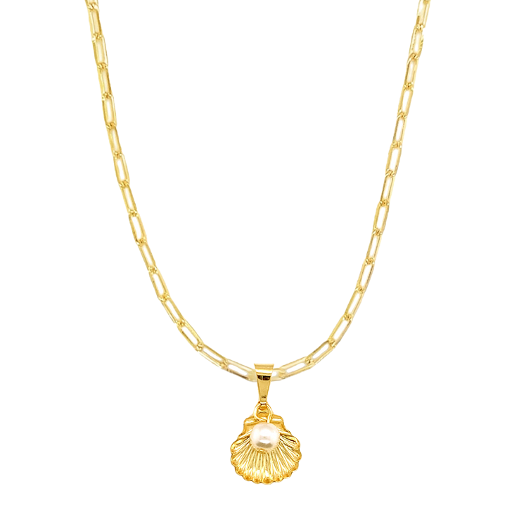 Orli Shell Necklace