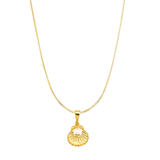 Orli Shell Necklace