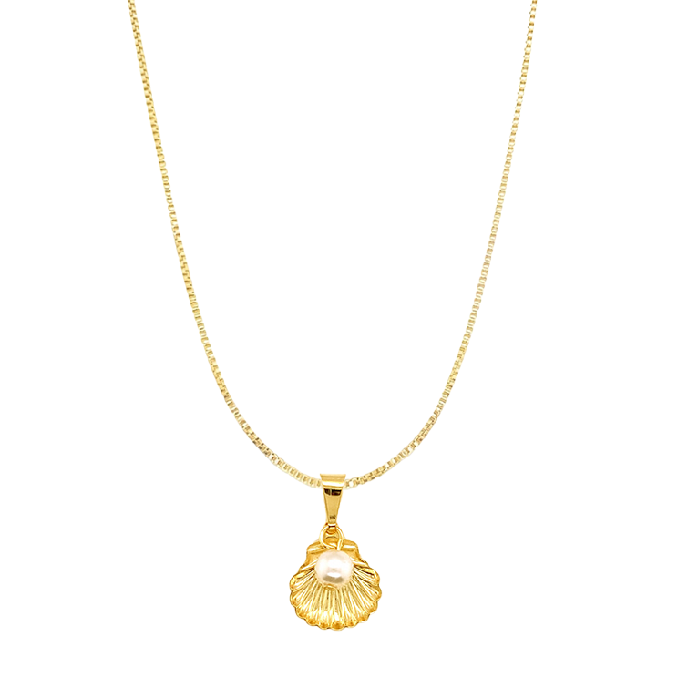 Orli Shell Necklace